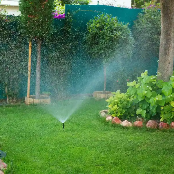 Irrigation & Lighting